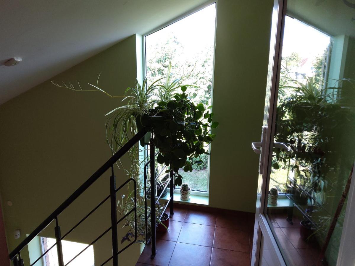 Apartamentai Geguciu Gatveje ไคลเพดา ภายนอก รูปภาพ